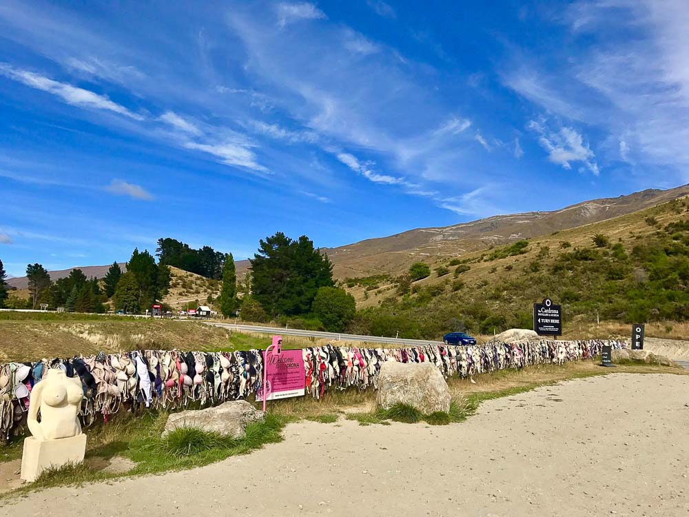 Cardrona Valley Bra Fence 