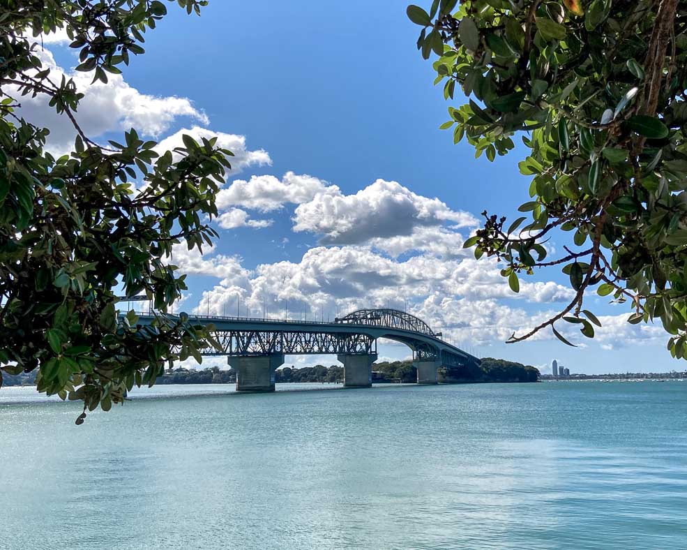 Auckland Harbour Bridge framed by green tree branches on a semi-cloudy day.