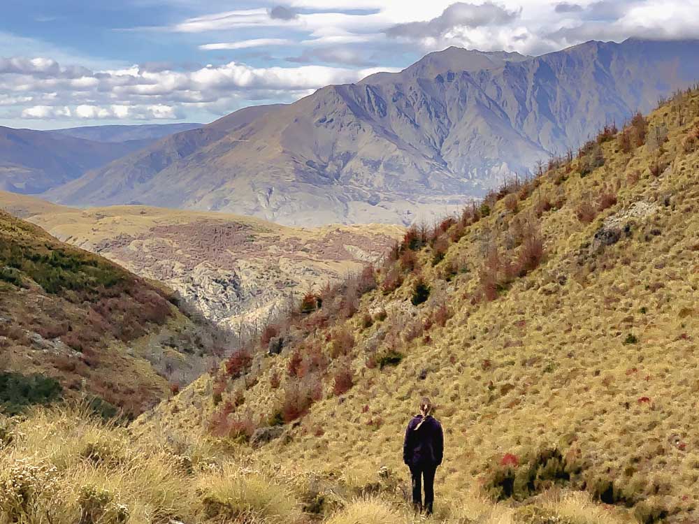 Views over looking a tussock valley out toward the mountains