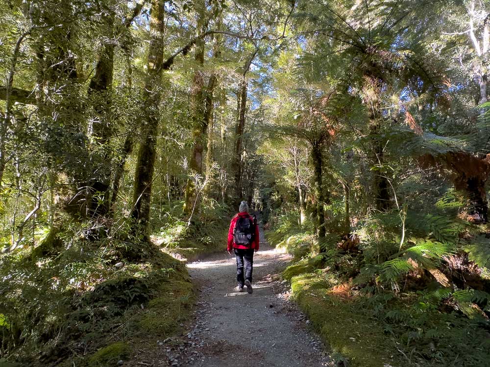 Girl in red jacket hiking through a forest in Mount Cook National Park.
