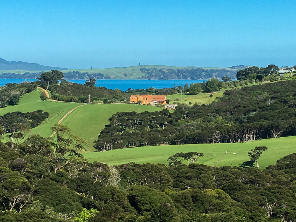 Guide to Visiting Waiheke Island + Top 4 Waiheke Vineyards