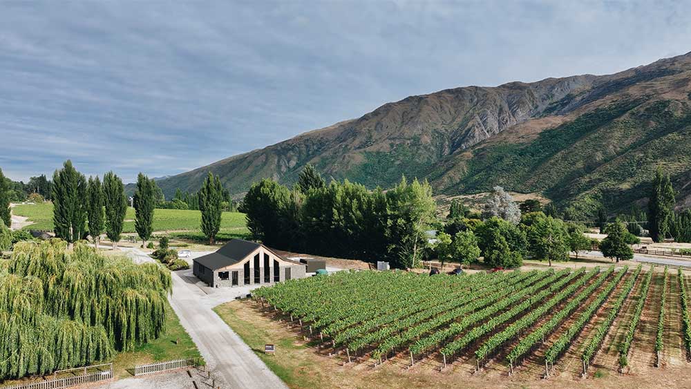 Kinross Wine Cellar and Vineyard, one of the best Queenstown vineyards & wineries, surrounded by tall green shrubs and mountains. 