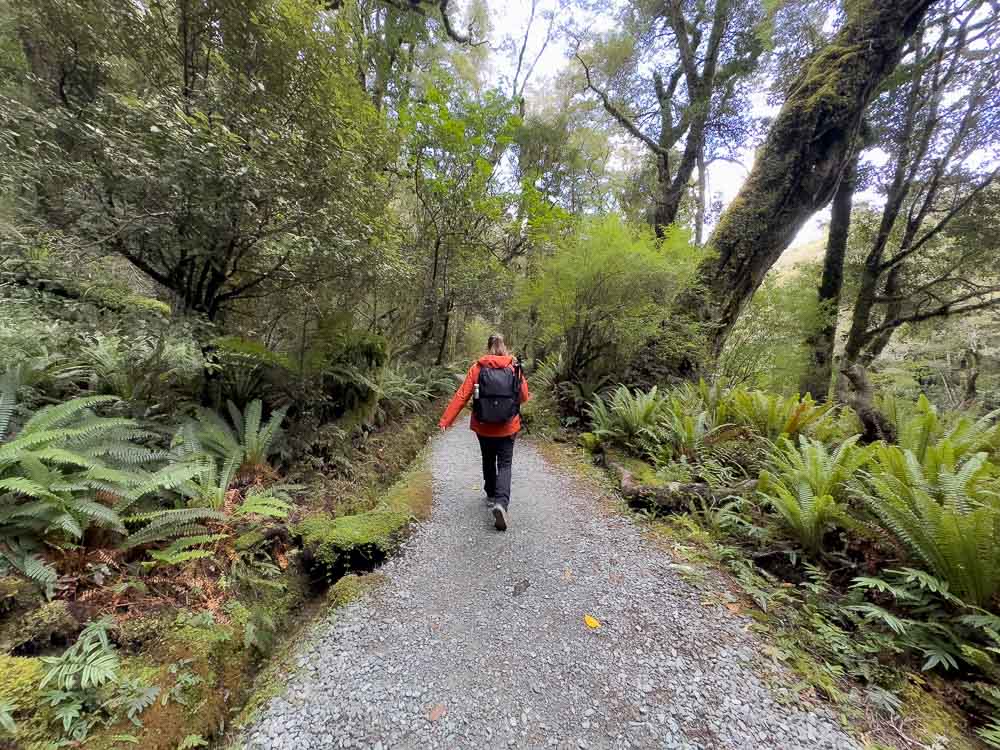 girl in orange coat walking down path through forest on the lake marian track