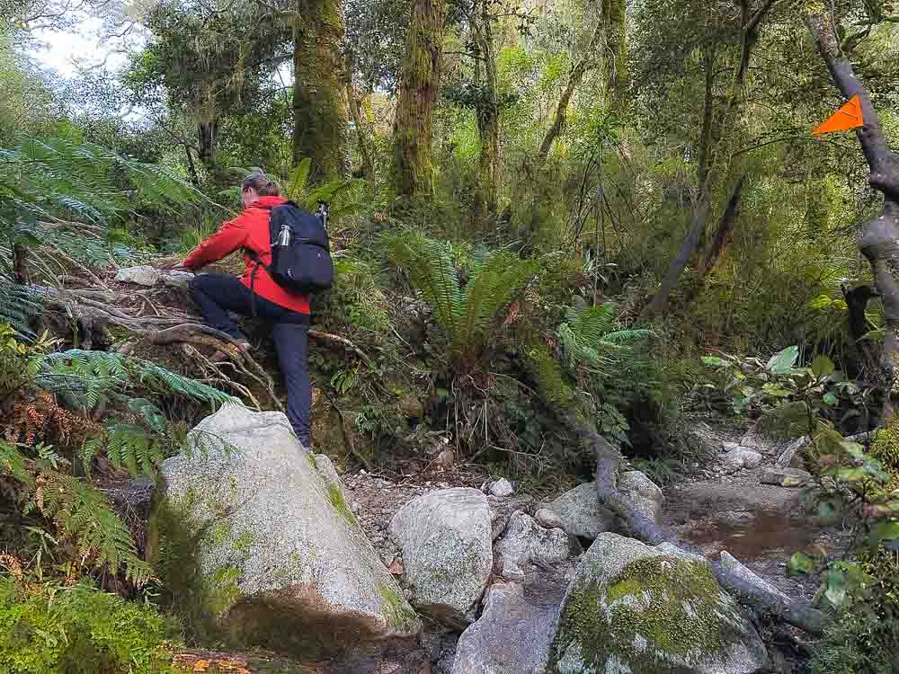 Girl in orange jacket climbing up tree root