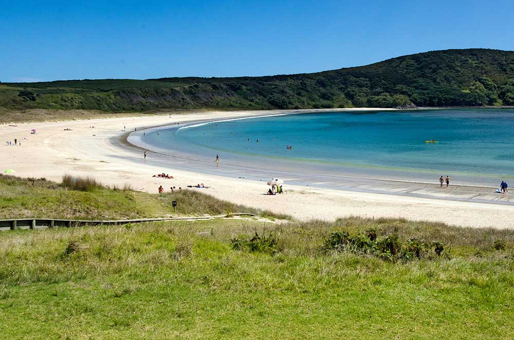The horseshoe shaped Matai Bay, a white sand beach bordered by a lush green native forest and calm blue bay in Northland, New Zealand.