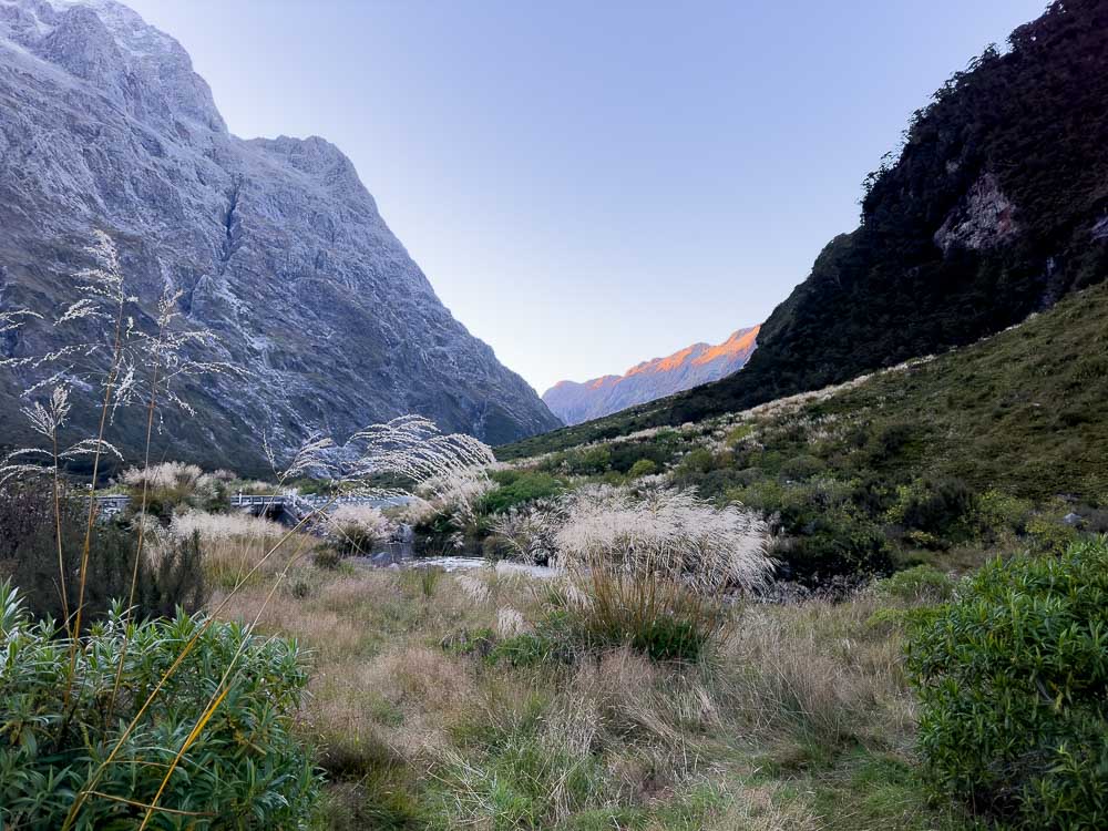 Views of an alpine garden with jagged mountains in the background