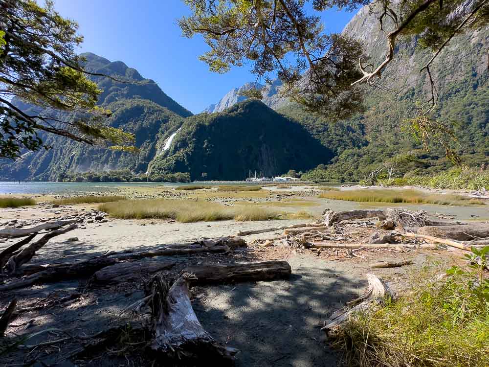 sandy foreshore of Milford Sound with mountains in the background on a clear day.