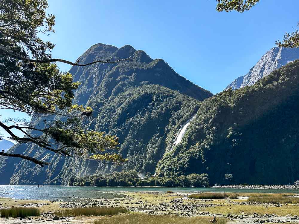 waterfall on a forest covered mountain