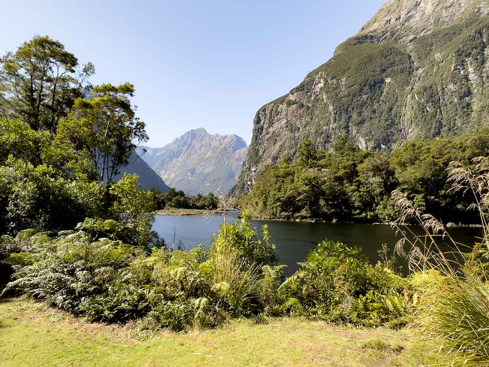 lake surrounded by green shrubbery with mountain in background