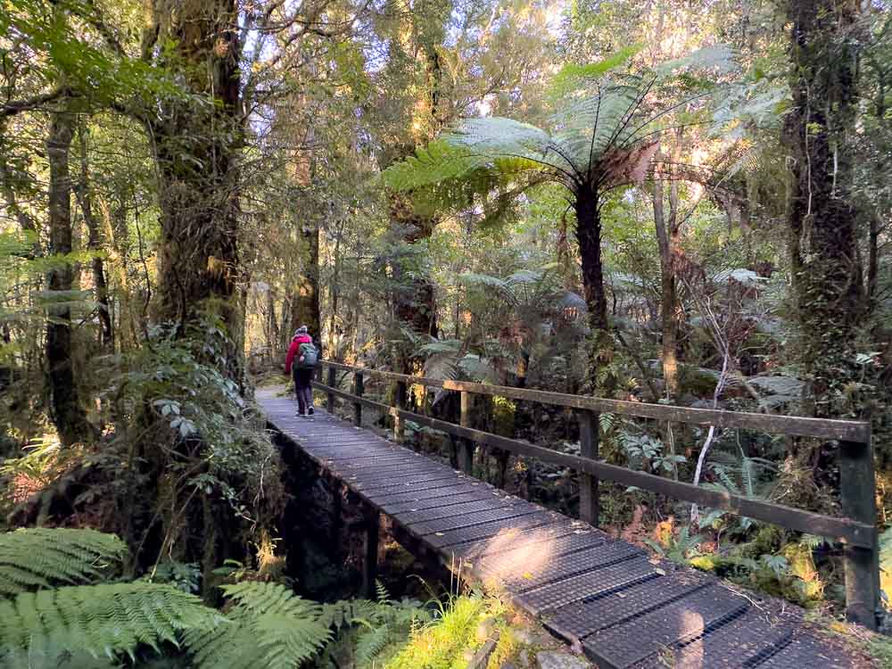 milford track day walk