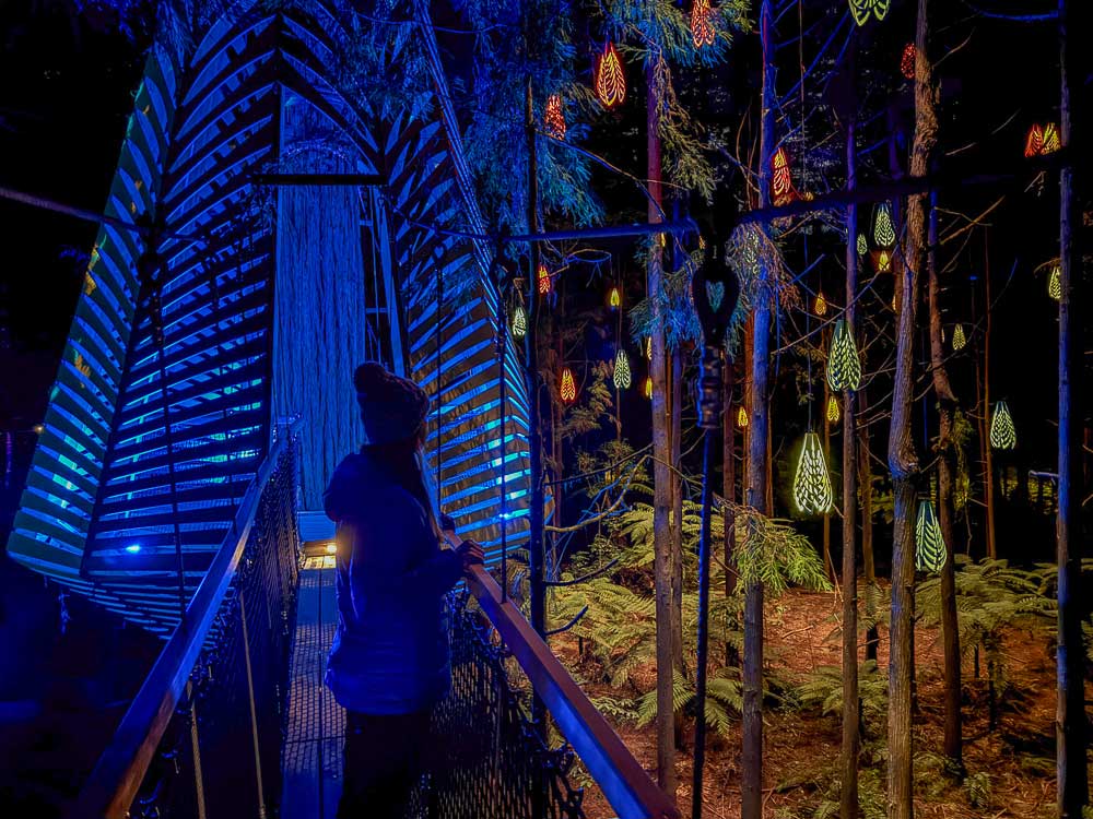 Woman standing on a swing bridge looking at colourful lighted lanterns hanging in the Redwoods forest at Rotorua Tree Walk.