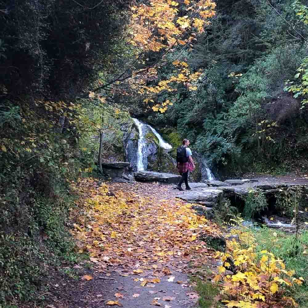Small waterfall on sawpit gully trail