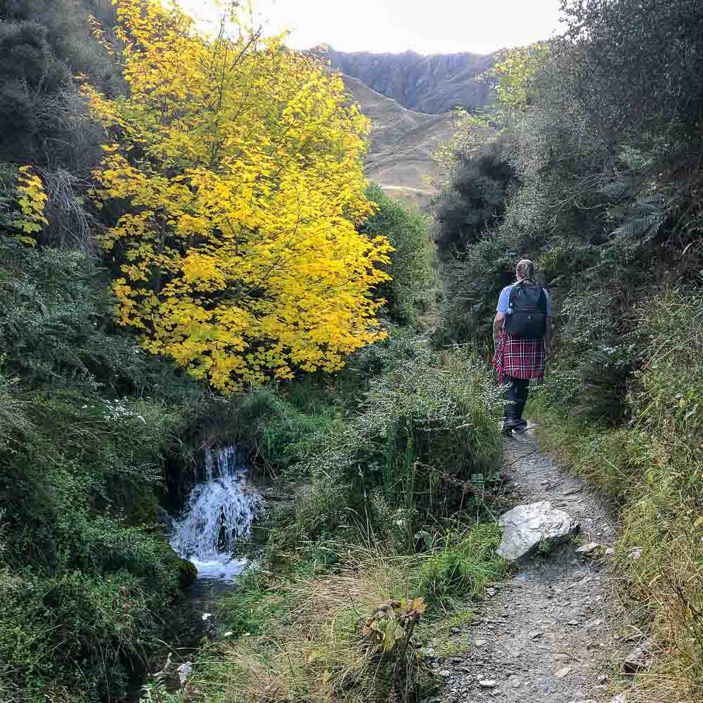 dirt path next to a small waterfall