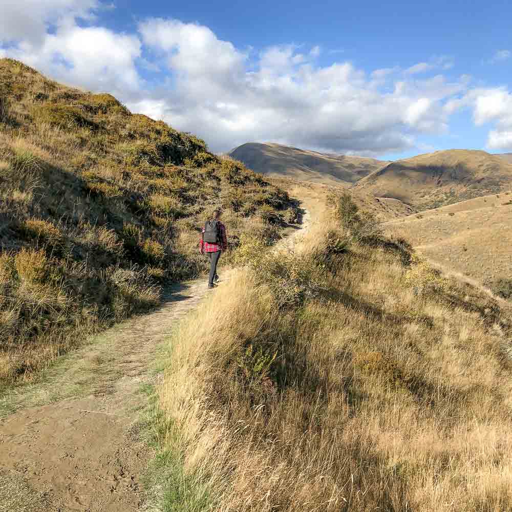 The ascent to sawpit gully