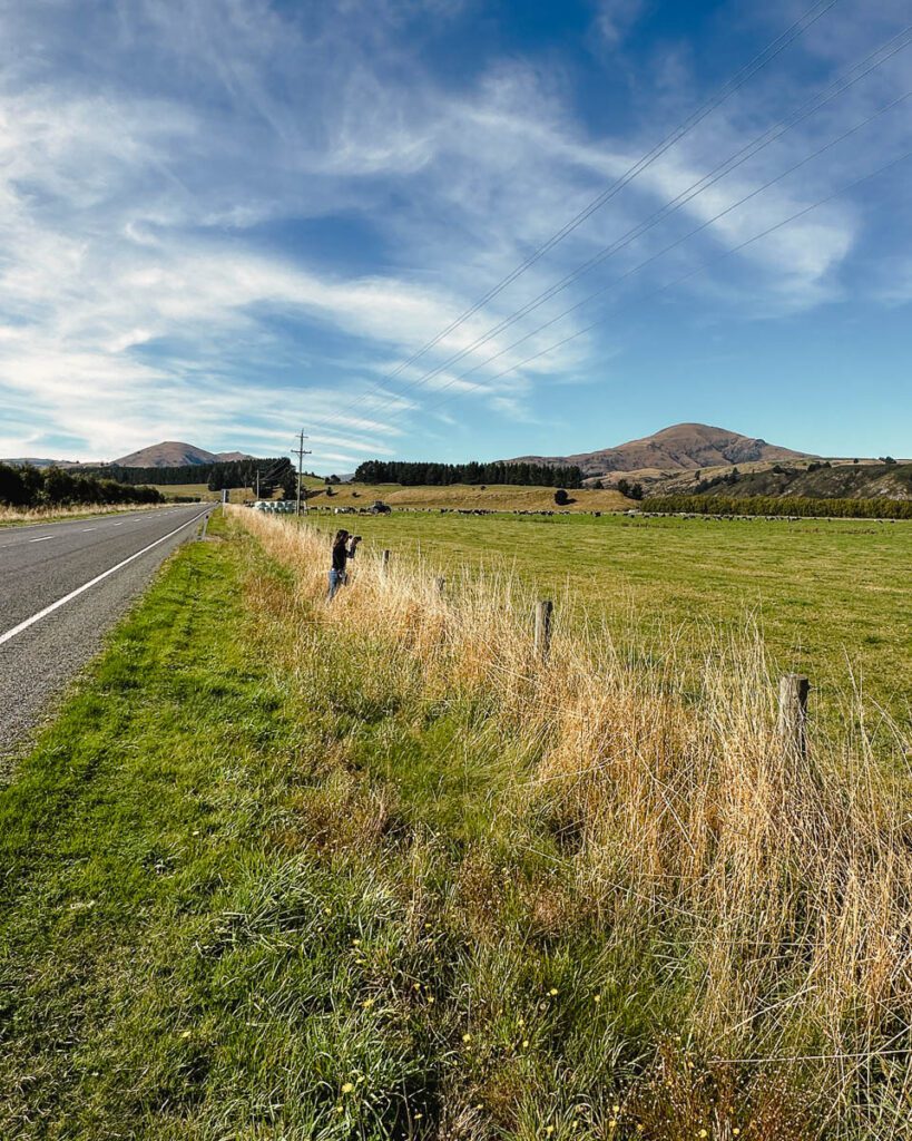 Girl taking a photo of a rural landscape in the South Island of New Zealand.