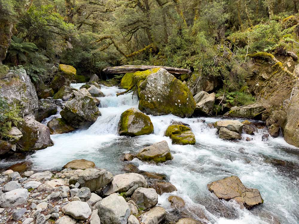 water cascading over rocks through a forest.
