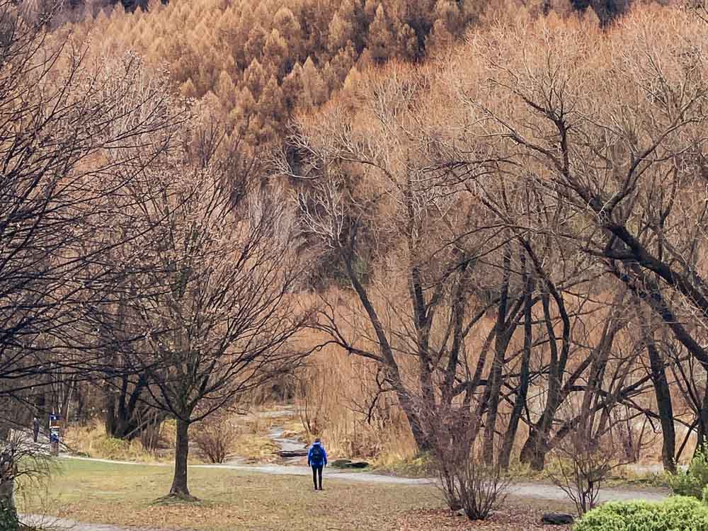 Girl in blue coat standing at the start of a track leading into a forest covered mountain in Arrowtown. 