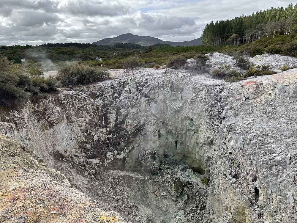 Light-coloured rocky geothermal terrain at Wai-O-Tapu Thermal Wonderland in Rotorua, with native forest in the background.