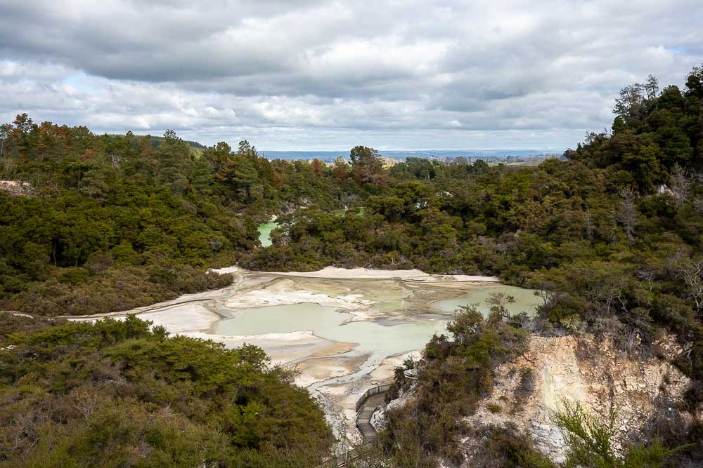 Vibrant green geothermal water flowing through white mineral-rich terrain at Wai-O-Tapu, surrounded by forest.